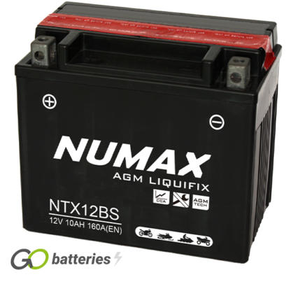 Numax YTX12-BS AGM motorcycle battery. 12 volt 10 amp, 160 cold cranking amps. Black case, positive terminal on the left with the terminals closest to you.