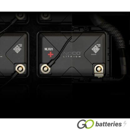 NLXU1 Noco Lithium Dual Purpose Battery 12V 40Ah 600A GROUP U1 (U1) (895) - Image 4
